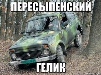 Пересыпенский Гелик