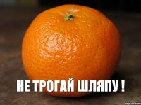  НЕ ТРОГАЙ ШЛЯПУ !