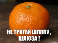  НЕ ТРОГАЙ ШЛЯПУ , ШЛЮЗА !