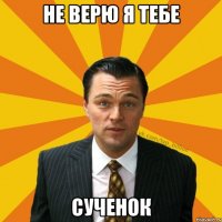 не верю я тебе сученок