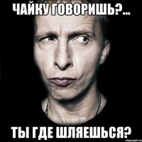 Чайку говоришь?... Ты где шляешься?