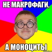 Не макрофаги, А моноциты