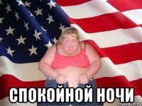  Спокойной ночи