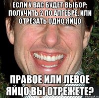 Если у вас будет выбор: получить 2 по алгебре, или отрезать одно яйцо Правое или левое яйцо вы отрежете?