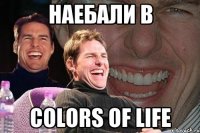 наебали в colors of life