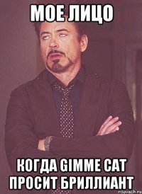 Мое лицо Когда Gimme Cat просит бриллиант