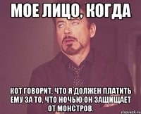 мое лицо, когда кот говорит, что я должен платить ему за то, что ночью он защищает от монстров.