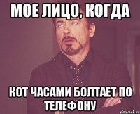 мое лицо, когда кот часами болтает по телефону