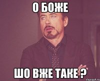 О Боже шо вже таке ?