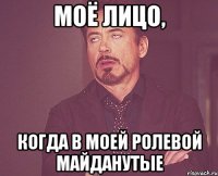 моё лицо, когда в моей ролевой майданутые