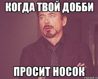 Когда твой Добби Просит носок