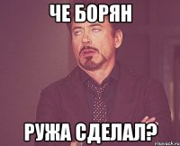 Че Борян Ружа сделал?