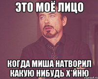 это моё лицо когда миша натворил какую нибудь х*йню