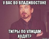 у вас во владивостоке тигры по улицам ходят?