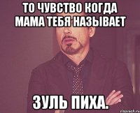 То чувство когда мама тебя называет Зуль Пиха.