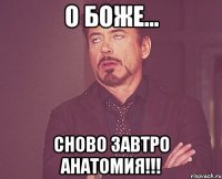 о боже... сново завтро анатомия!!!