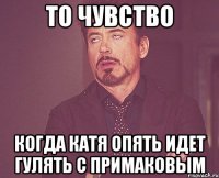 ТО ЧУВСТВО КОГДА КАТЯ ОПЯТЬ ИДЕТ ГУЛЯТЬ С ПРИМАКОВЫМ