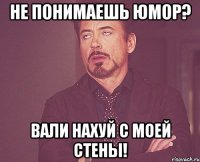 Не понимаешь юмор? Вали нахуй с моей стены!