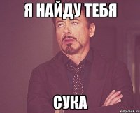 Я найду тебя сука