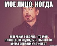 Мое лицо, когда Ветеренар говорит, что мой плюшевый медведь не выжил во время опирации на живот