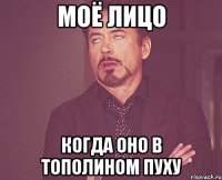 моё лицо когда оно в тополином пуху