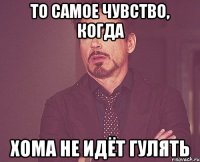 То самое чувство, когда Хома не идёт гулять