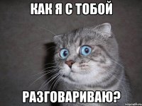 как я с тобой разговариваю?