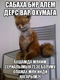 Сабаха бир алем дерс вар охумага Ахшамда мяним сериалымын тезе болуму олажах.Мян инди нагарым?(