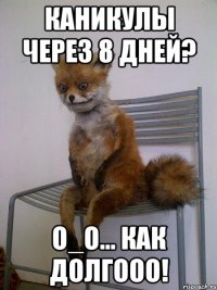 Каникулы через 8 дней? О_о... Как долгооо!