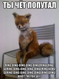 ты чёт попутал Ring-ding-ding-ding-dingeringeding! Gering-ding-ding-ding-dingeringeding! Gering-ding-ding-ding-dingeringeding! What the fox say?