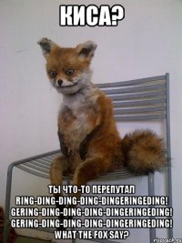 киса? ты что-то перепутал Ring-ding-ding-ding-dingeringeding! Gering-ding-ding-ding-dingeringeding! Gering-ding-ding-ding-dingeringeding! What the fox say?