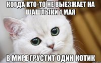 когда кто-то не выезжает на шашлыки 1 мая в мире грустит один котик