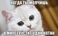 Когда ты молчишь В мире грустит один котик