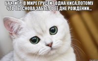 Бахтиёр, в мире грустит одна Киса,потому что ты снова забыл о ёё дне рождении... 