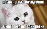 Когда кого-то френдзонят В мире грустит один котик