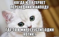 Когда Юля теряет переходник к айподу где-то в мире грустит один котик:(