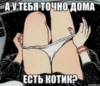 а у тебя точно дома есть котик?