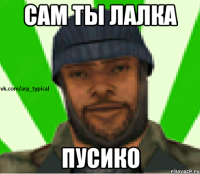 Сам ты лалка Пусико