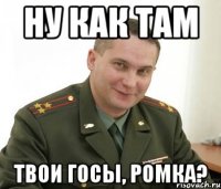 Ну как там твои ГОСЫ, ромка?