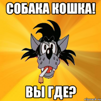 Собака кошка! Вы где?