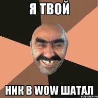 я твой ник в wow шатал