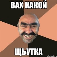 ВАХ КАКОЙ ЩЬУТКА