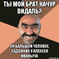 Ты мой брат Качур видаль? Он бальшой человек, садовник у Алексея Иваныча