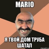 Mario Я твой дом труба шатал