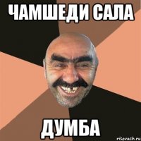 Чамшеди сала думба