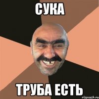 сука труба есть