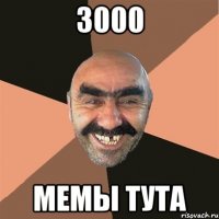 3000 мемы тута