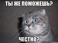 ТЫ ЖЕ ПОМОЖЕШЬ? ЧЕСТНО?