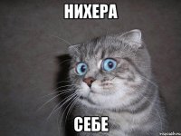 НихЕра Себе