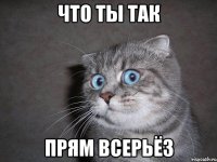 Что ты так прям всерьёз